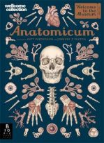 Anatomicum (бройка с външни забележки)