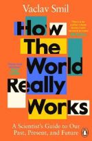 How the World Really Works : A Scientist's Guide to Our Past, Present and Future