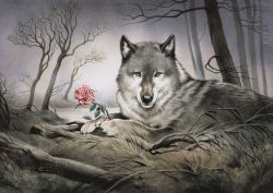 Картички Inkognito Pq Wolf und Rose 1251