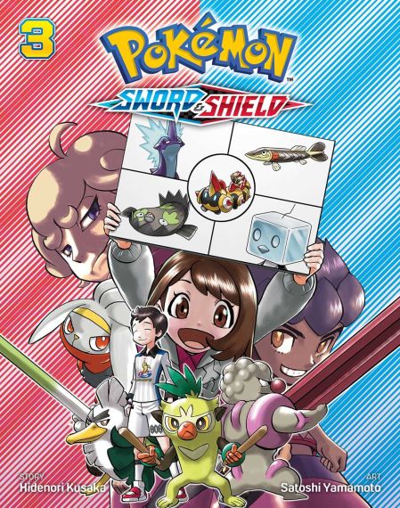 Pokémon Sword & Shield, Vol. 3