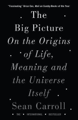 The Big Picture On the Origins of Life, Meaning, and the Universe Itself