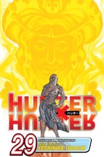 Hunter x Hunter, Vol.29