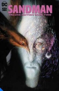 The Sandman The Deluxe Edition Book Two