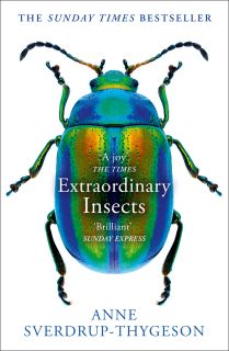 Extraordinary Insects B
