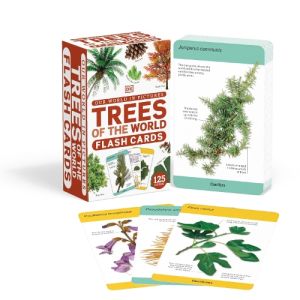 Our World in Pictures: Trees Flash Cards