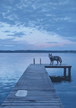 Картички Inkognito Ph Twilight II 8079
